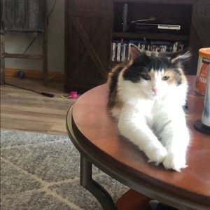 Meet your Posher, Noah